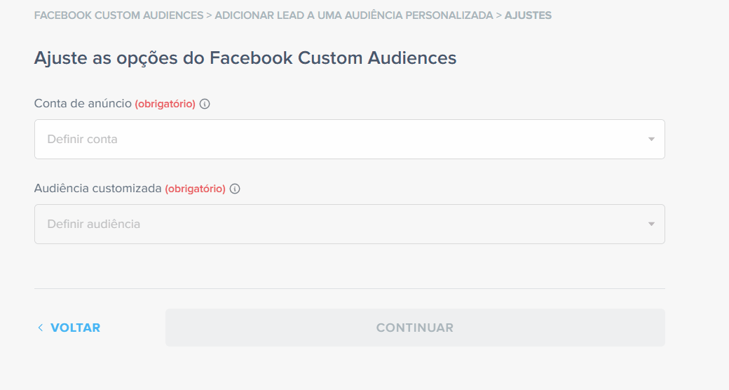como atualizar público personalizado